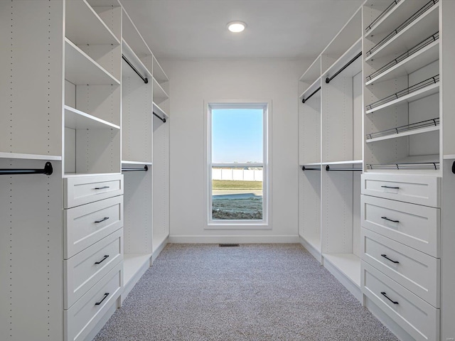 spacious closet with light colored carpet