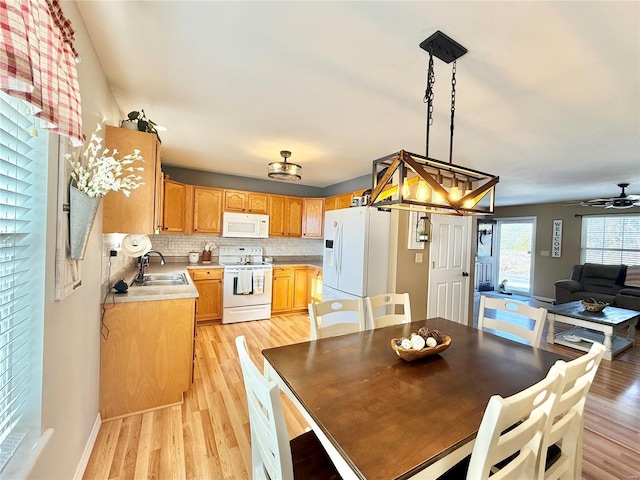 dining area with sink, light hardwood / wood-style floors, and ceiling fan