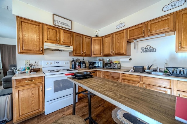 kitchen featuring sink, dark hardwood / wood-style floors, and white range with electric stovetop