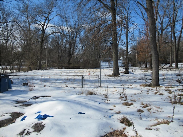 view of yard layered in snow