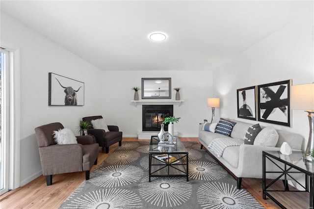 living room with wood-type flooring