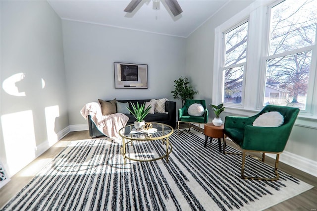 living room with wood-type flooring and ceiling fan