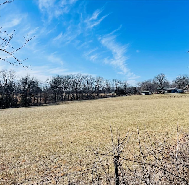 view of yard with a rural view