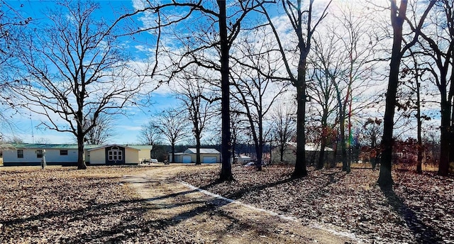 view of street with driveway