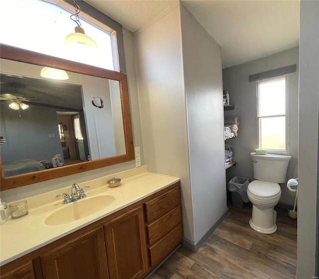 bathroom featuring toilet, wood finished floors, and vanity