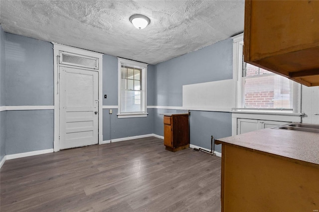 kitchen featuring sink, hardwood / wood-style floors, and a textured ceiling