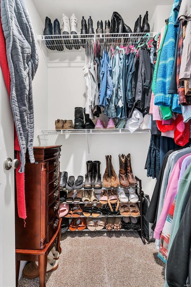 spacious closet featuring carpet