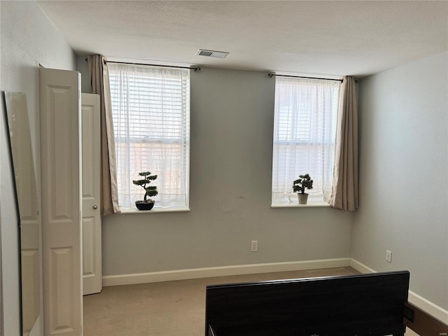 interior space featuring a healthy amount of sunlight, light carpet, and a textured ceiling