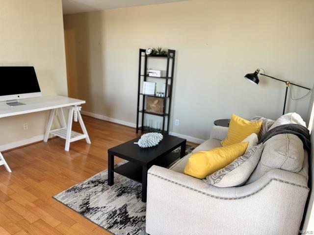 living room with hardwood / wood-style floors