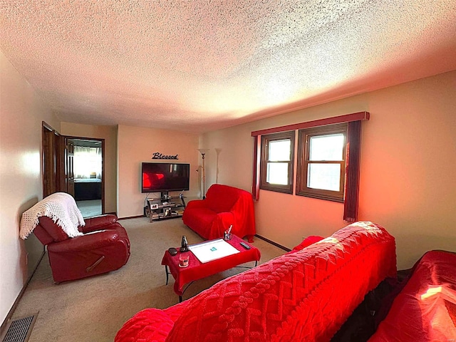 carpeted living room with a textured ceiling