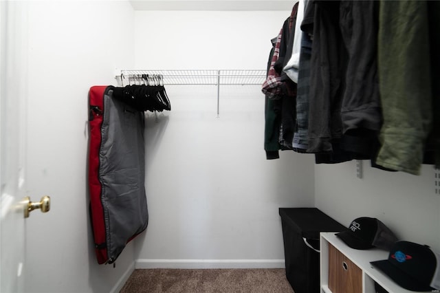 walk in closet with light colored carpet