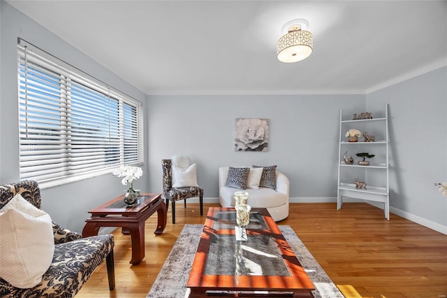 sitting room featuring hardwood / wood-style floors