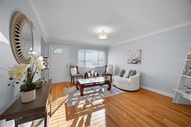 living room featuring hardwood / wood-style flooring