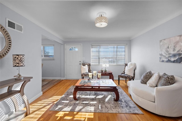 living room with hardwood / wood-style flooring and a wealth of natural light