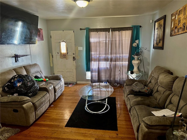 living room with hardwood / wood-style flooring