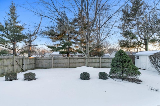 yard covered in snow with a shed