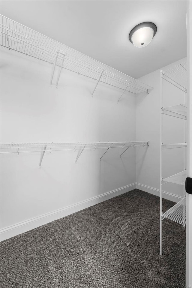 spacious closet with carpet flooring