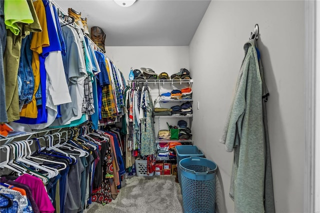 spacious closet featuring carpet flooring