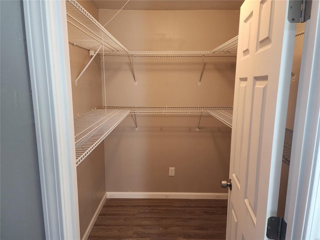 walk in closet with dark wood-type flooring