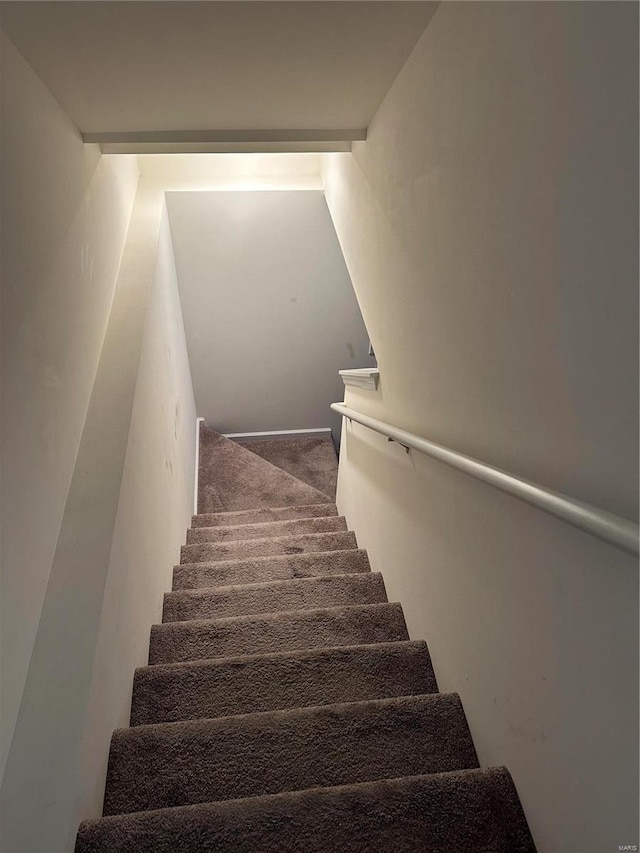 stairs featuring carpet