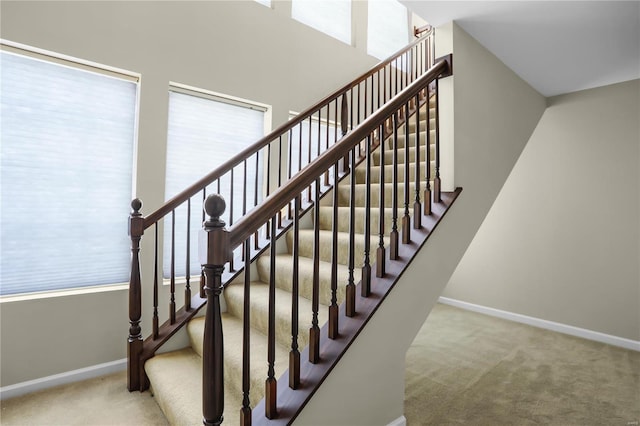 staircase featuring carpet flooring