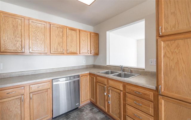 kitchen with sink and stainless steel dishwasher