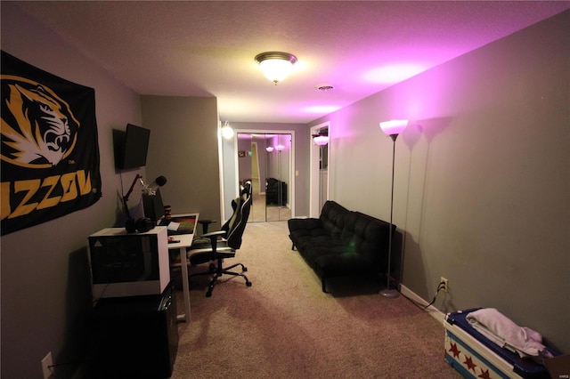 office with light colored carpet