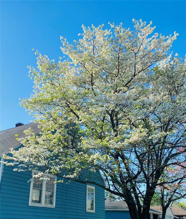 view of home's exterior