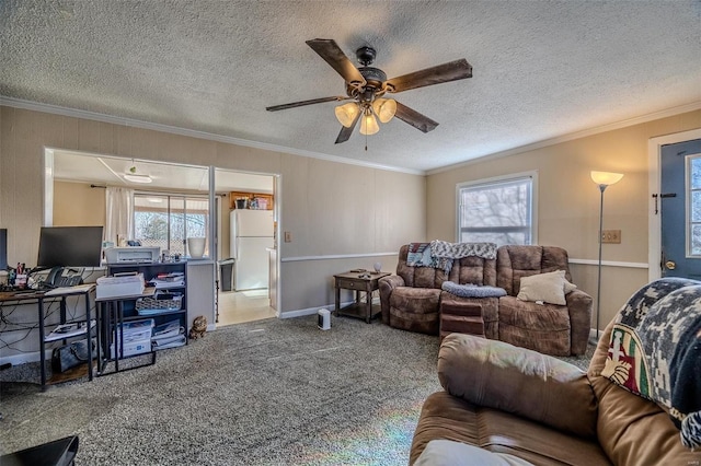 carpeted living room featuring crown molding, a textured ceiling, and ceiling fan