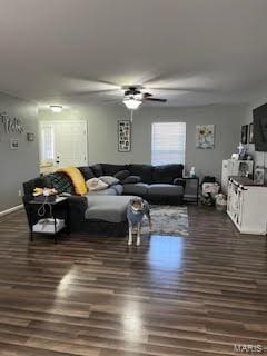 living room featuring dark wood-type flooring and ceiling fan