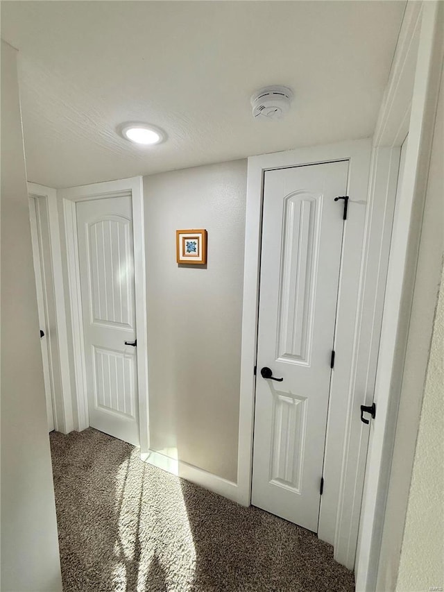 hallway featuring carpet floors