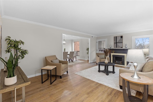 living room with crown molding and light hardwood / wood-style flooring