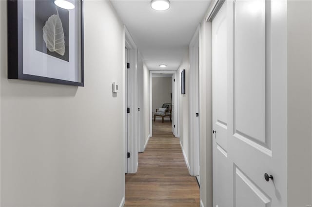 corridor featuring wood-type flooring