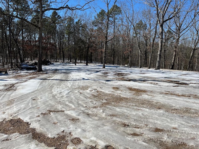 yard covered in snow with a view of trees