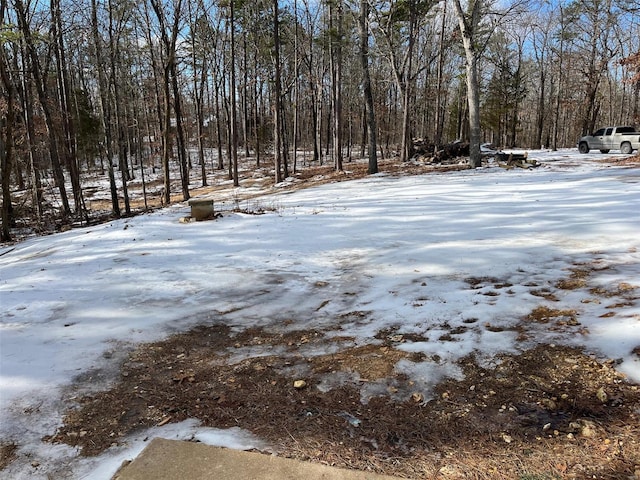 view of snowy yard