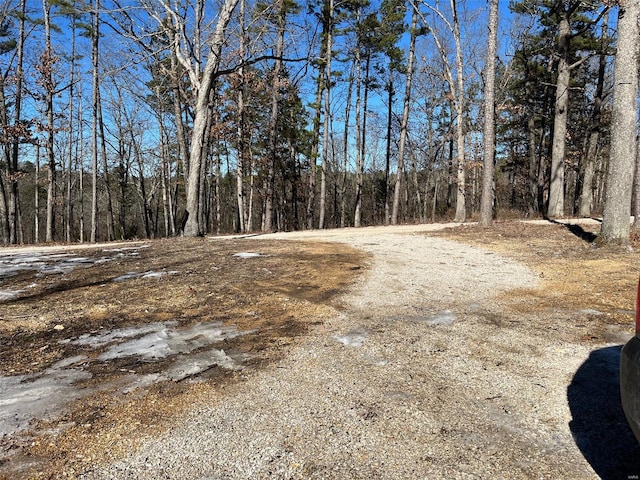 view of road with a wooded view