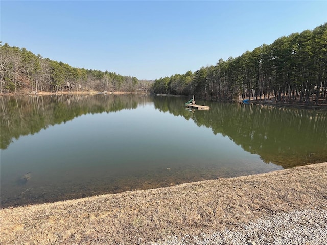 water view featuring a view of trees and a boat dock