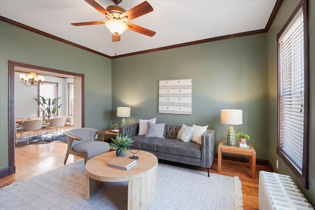 living area featuring crown molding, baseboards, radiator heating unit, ceiling fan with notable chandelier, and wood finished floors