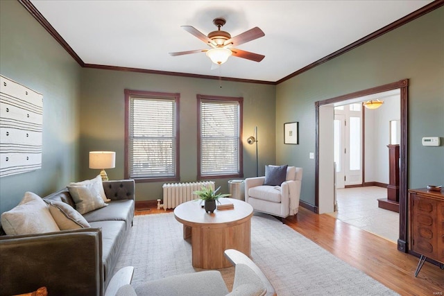 living room with ceiling fan, light wood-style flooring, radiator heating unit, and ornamental molding