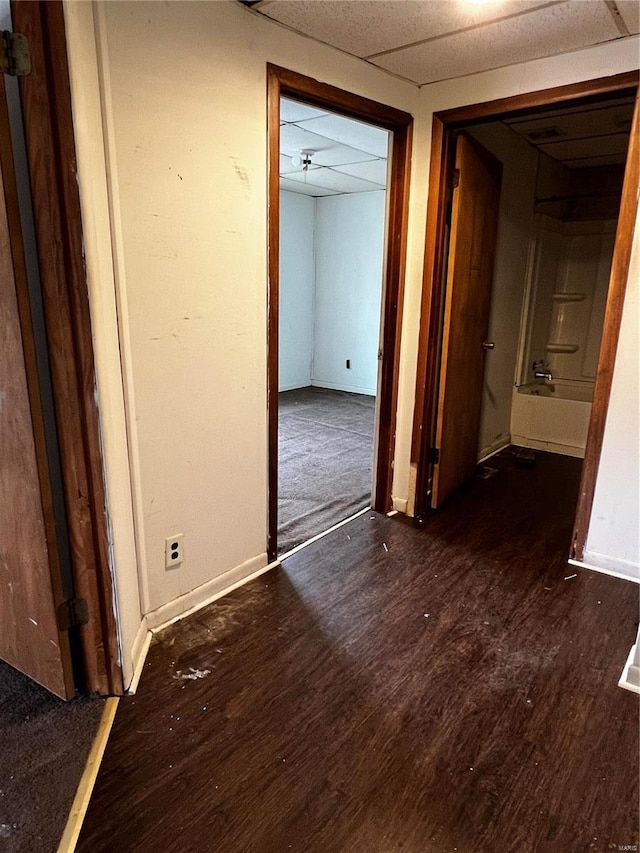 hall featuring dark hardwood / wood-style flooring and a drop ceiling