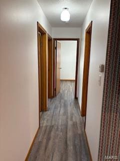 hallway featuring dark hardwood / wood-style flooring