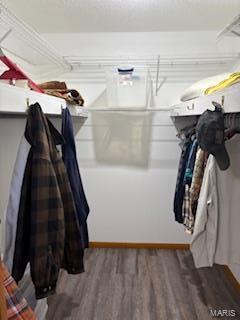 spacious closet featuring wood-type flooring