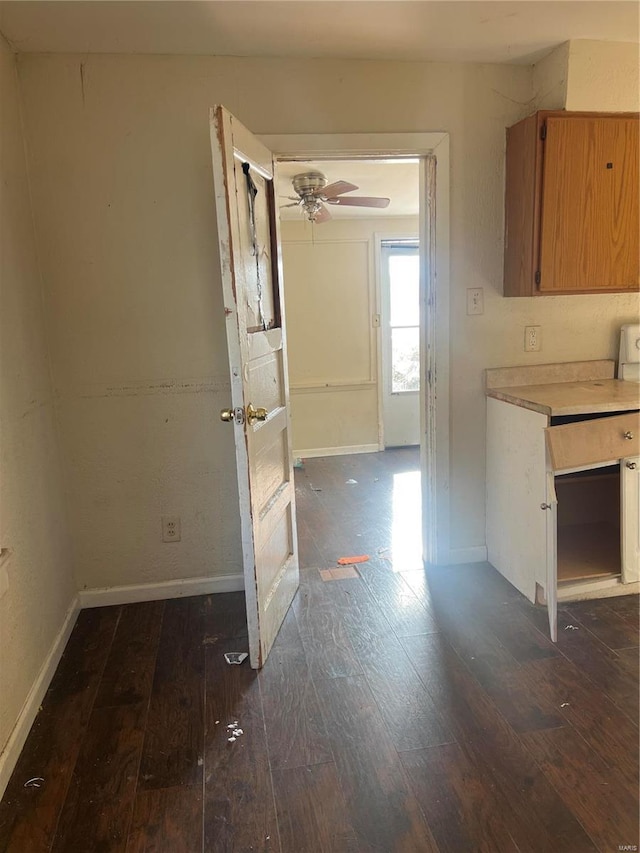 kitchen with ceiling fan and dark hardwood / wood-style flooring