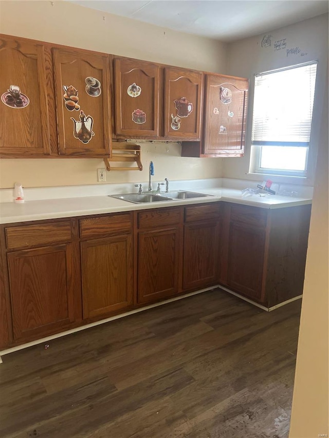 kitchen with sink and dark hardwood / wood-style floors