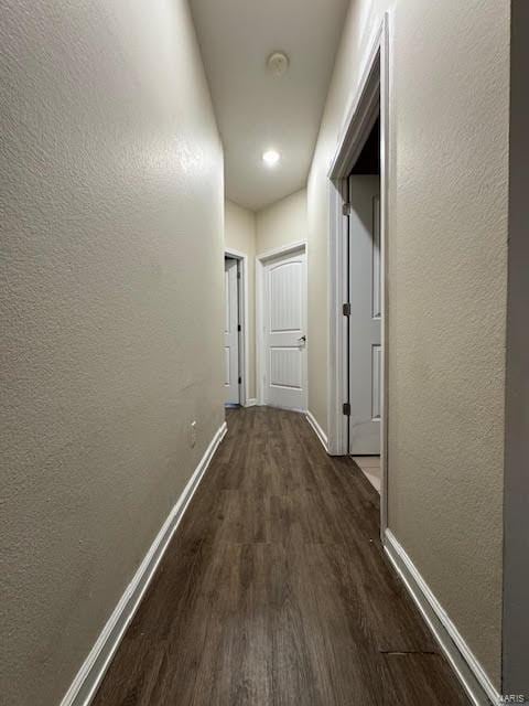 corridor featuring dark hardwood / wood-style flooring