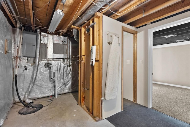 basement with electric panel