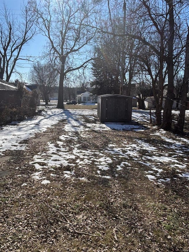 view of yard covered in snow