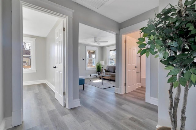 hallway with light hardwood / wood-style floors