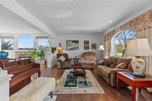 living room with dark hardwood / wood-style flooring, a textured ceiling, and a wealth of natural light