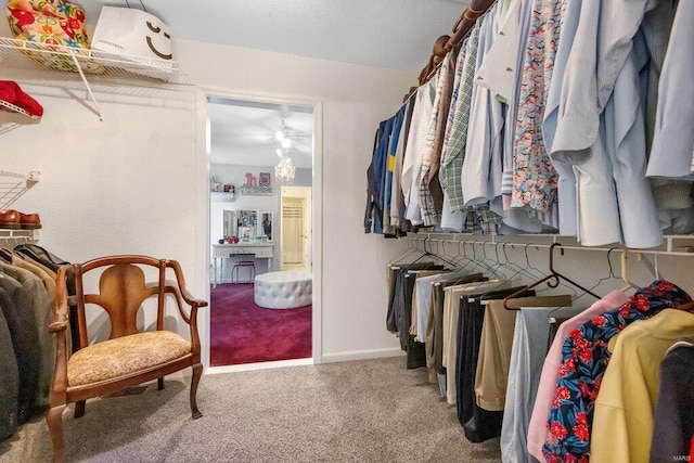 walk in closet featuring carpet flooring